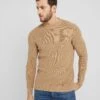 Pier One Trui - Camel 1 Pier One Trui - Camel -Pier One afb23d147e064d1d8e181dbfe0c33fbb